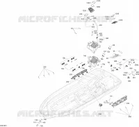 Hull RXT