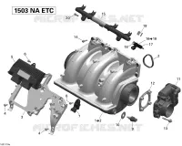 Air Intake Manifold And Throttle Body Sea-Doo