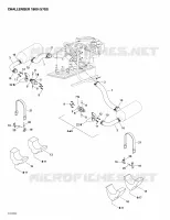 Exhaust System