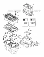 Cylinder, Exhaust Manifold