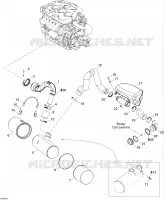 Exhaust System