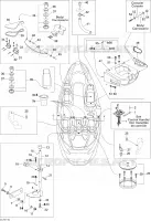 Body And Accessories
