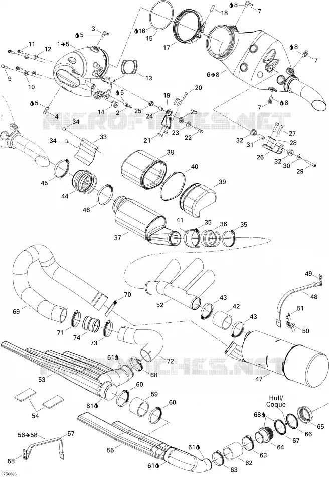Exhaust System