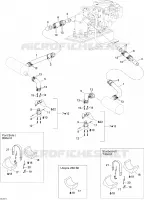 Exhaust System