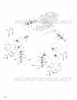 Exhaust System