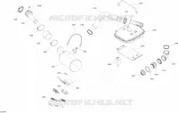 Exhaust System
