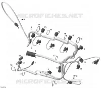 Engine Wiring Harness