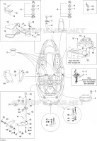 Body and accessories