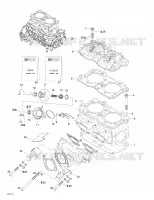 Cylinder, Exhaust Manifold