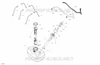 Engine - Fuel