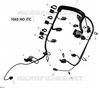 Engine Harness
