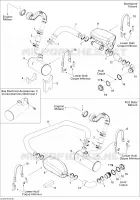 Exhaust System
