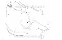 02- Engine - Cooling