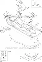 Body, Rear View STD