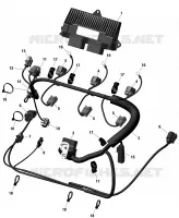 Engine Harness And Electronic Module 155HP Non Rental