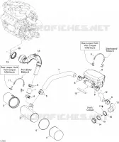 Exhaust System