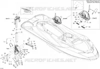Body, Front View