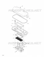 Air Intake System