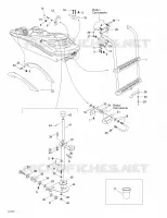 Body And Accessories 3