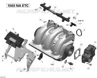 Air Intake Manifold And Throttle Body Sea-Doo
