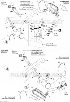Exhaust System