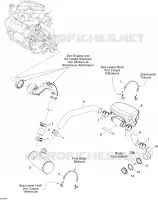 Exhaust System