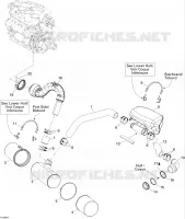 Exhaust System