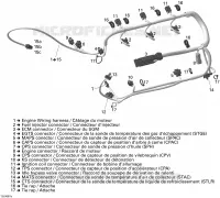 Engine Harness
