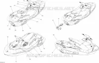 Decals _29S1501