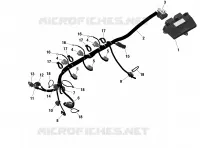 Rotax - Engine Harness And Electronic Module Without IDF