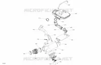 Exhaust