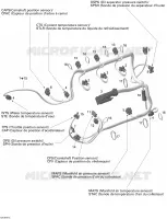 Engine Harness