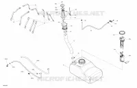 Engine - Fuel