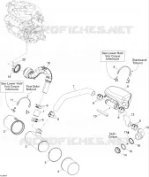 Exhaust System