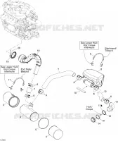 Exhaust System