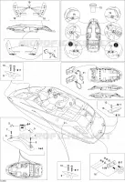 Body And Accessories