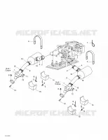 Exhaust System
