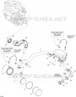 Exhaust System