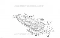 07- Body - Hull