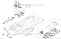 Body, Front View