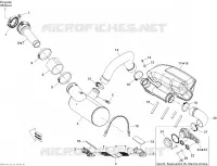 Exhaust System