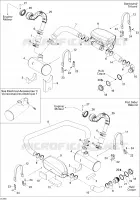 Exhaust System