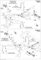Exhaust System