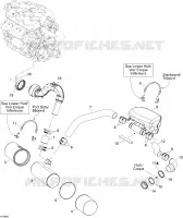 Exhaust System