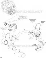 Exhaust System
