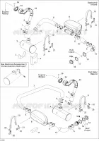 Exhaust System