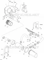 Exhaust System