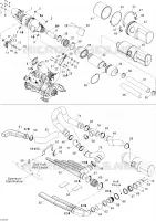 Exhaust System