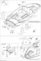 Body And Accessories 2