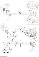 Exhaust System